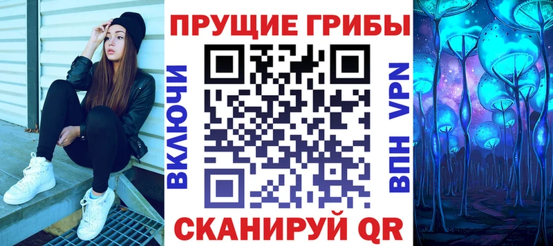Псилоцибиновые грибы Psilocybe  ссылка на мегу ссылка  Пучеж 